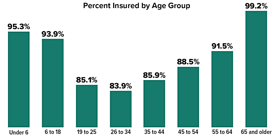 Percent insured by age group: Under 6=95.3%, 6 to 18=93.9%, 19 to 25=85.1%, 26 to 34=83.9%, 35 to 44=85.9%, 45 to 54=88.5%, 55 to 64=91.5%, 65 and older=99.2%.