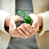 Growth vs. Value: What's the Difference? #Stockmarket #investing #Growthstocks #ValueStocks 1 plantgrowth iStock 477995022