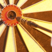 #62 Self-Directed IRAs | Palm Beach, Fl 1 target dart left