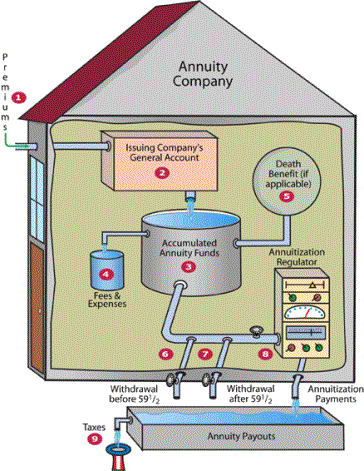 Funding Your #1 Future with a Fixed Annuity | Palm Beach, FL 1 fixed annuity works