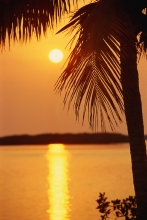 The Roth 401(k) | Stuart, FL 1 roth 401(k)